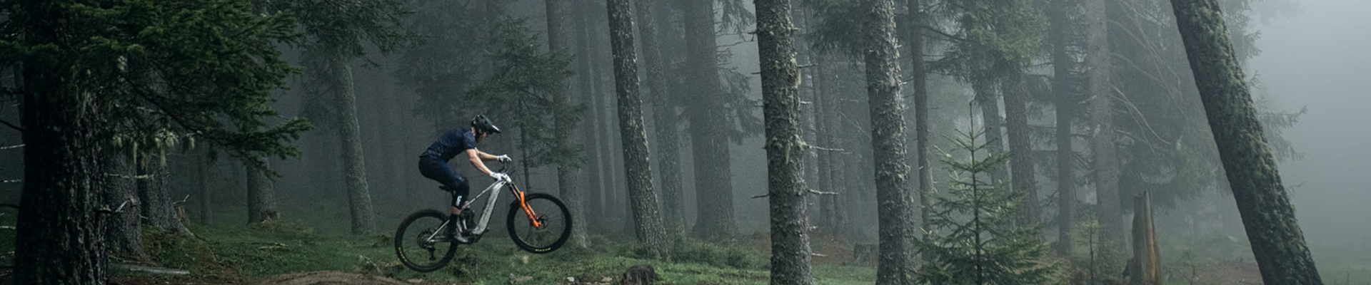the bicycle shop